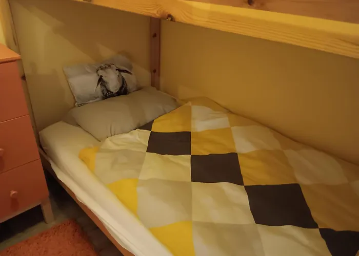 Apartament Midden In De Membre